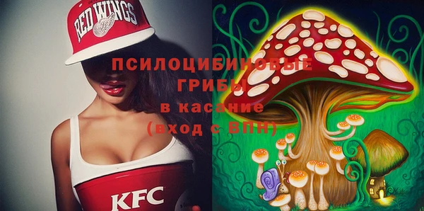 apvp Володарск