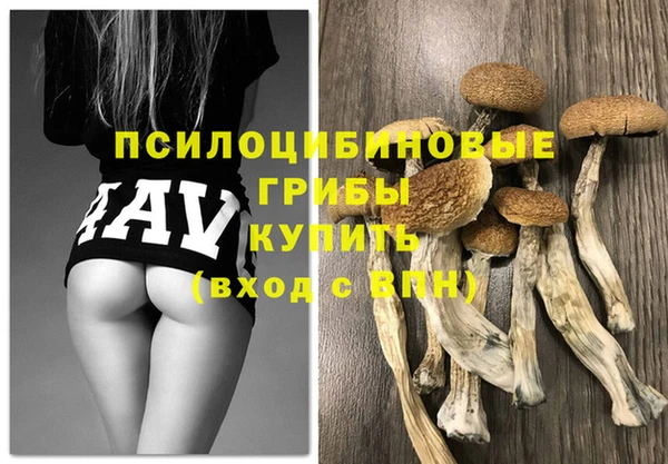 apvp Володарск