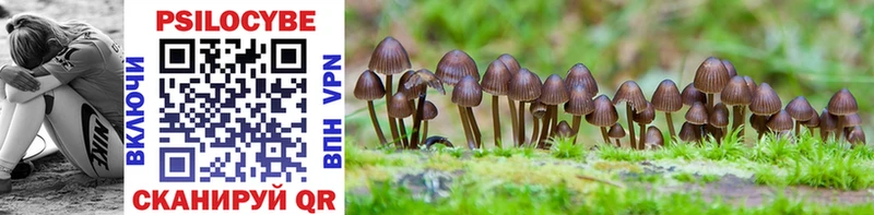 Псилоцибиновые грибы Psilocybe  мега как зайти  Архангельск 